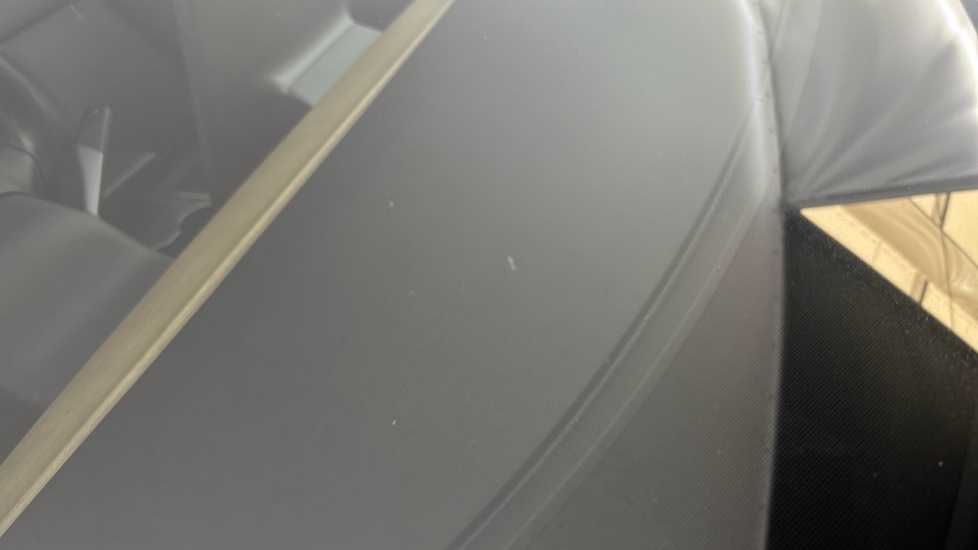 TESLA MODEL Y chips