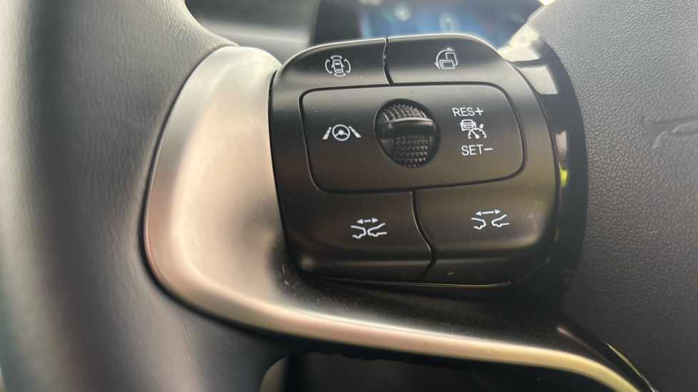 BYD ATTO 3 cruise control