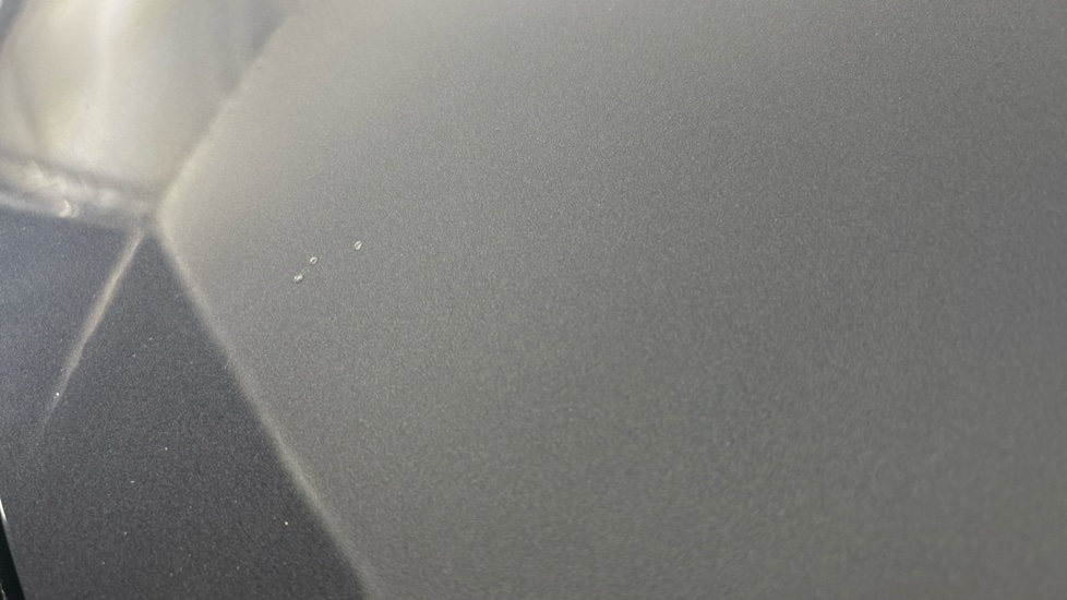 TESLA MODEL Y chips