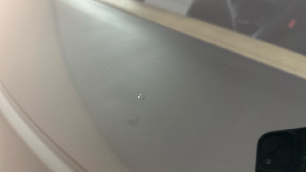 TESLA MODEL Y Multiple chips