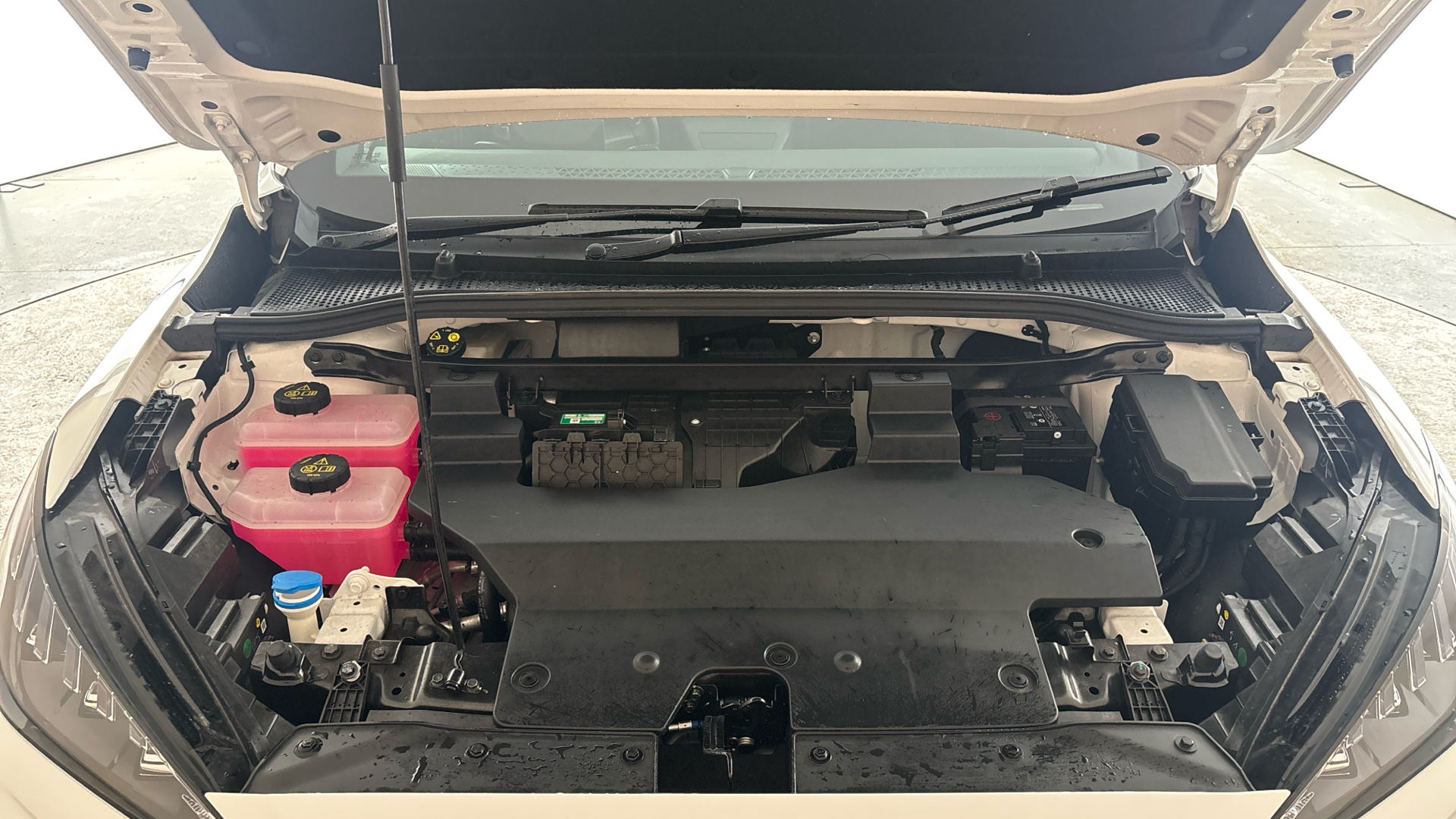 4027762 320kW EV XPOWER 64kWh 5dr Auto