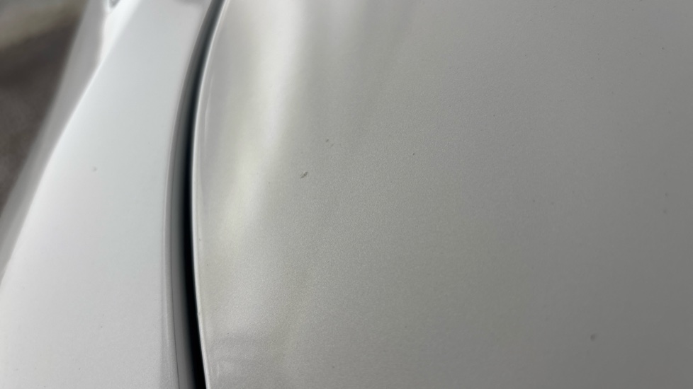 TESLA MODEL Y Multiple chips