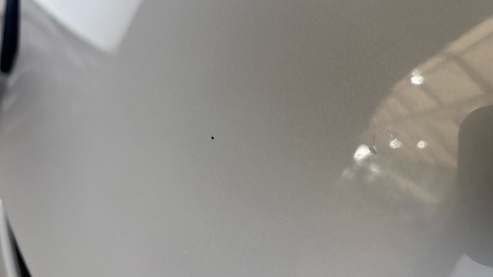 TESLA MODEL Y Multiple chips