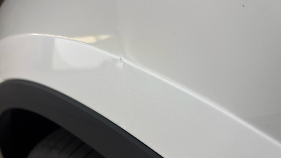 TESLA MODEL Y Dent and chips