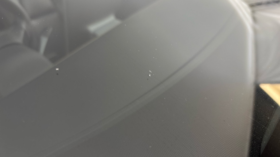 TESLA MODEL Y chips