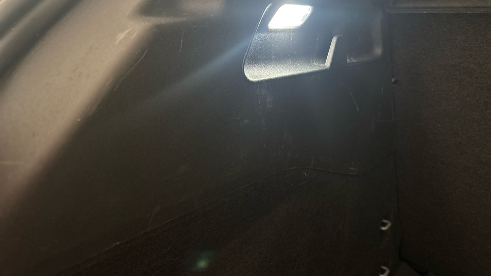 CUPRA BORN Scuff