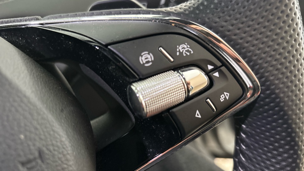 SKODA ENYAQ cruise control