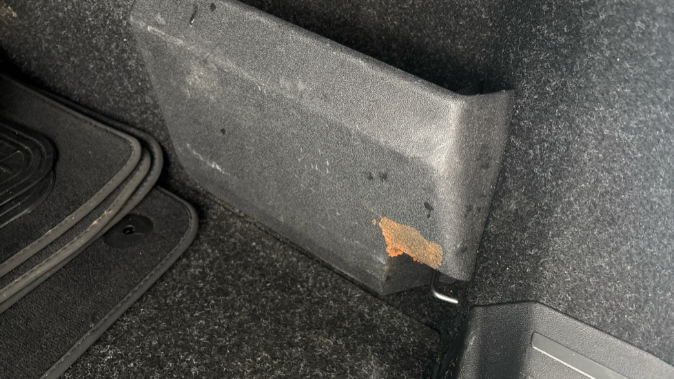 SKODA ENYAQ Contamination