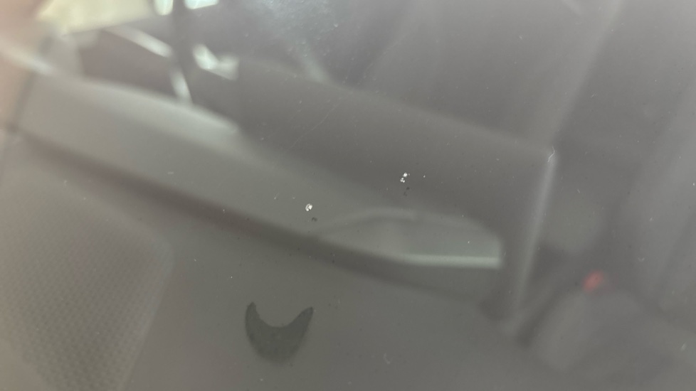 CUPRA BORN Multiple chips