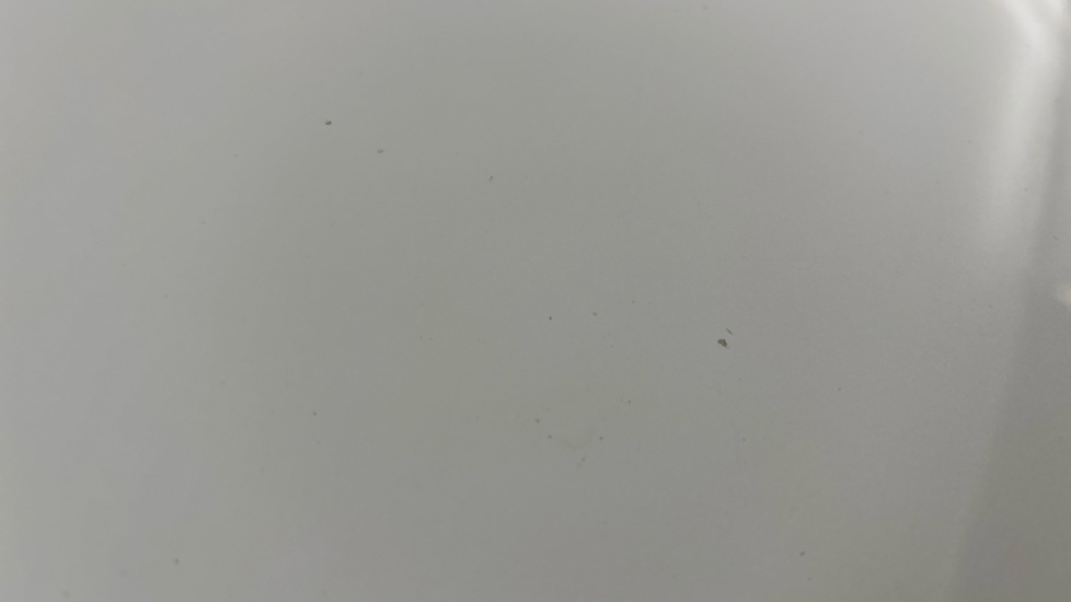 TESLA MODEL Y chips