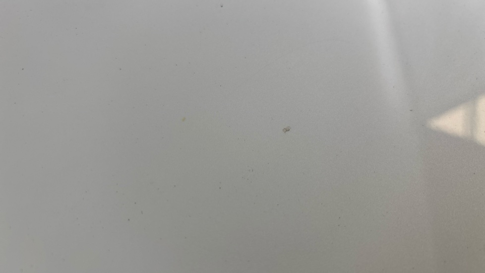 TESLA MODEL Y chips