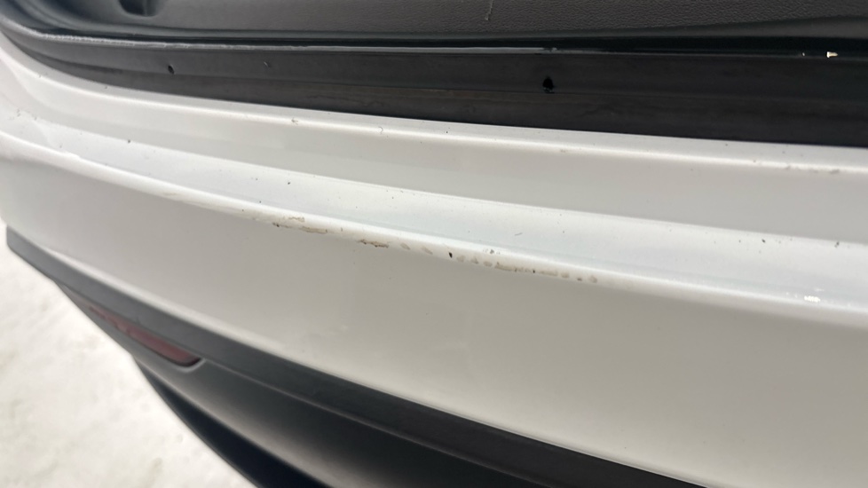TESLA MODEL Y chips