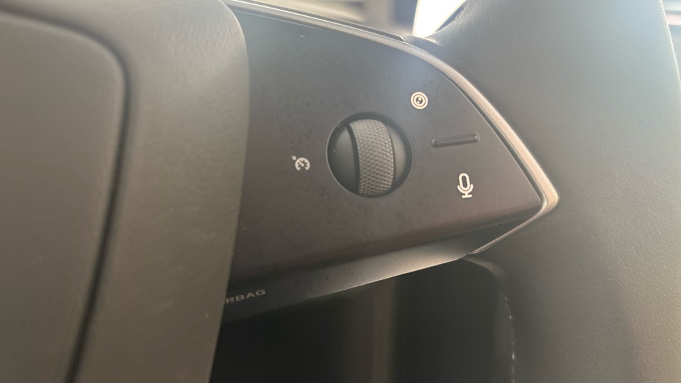 TESLA MODEL Y cruise control