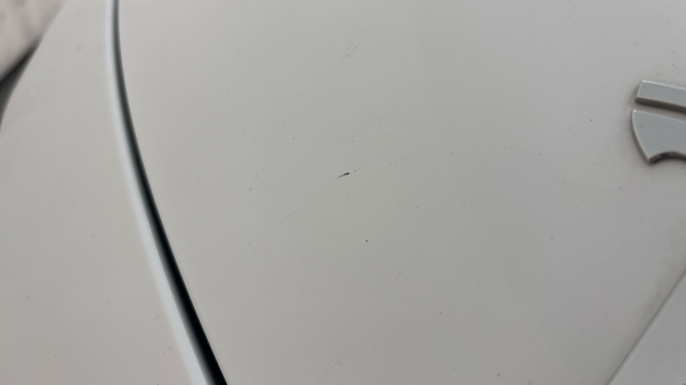 TESLA MODEL Y Multiple chips