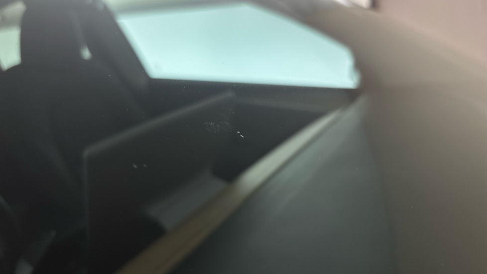 TESLA MODEL Y Multiple chips