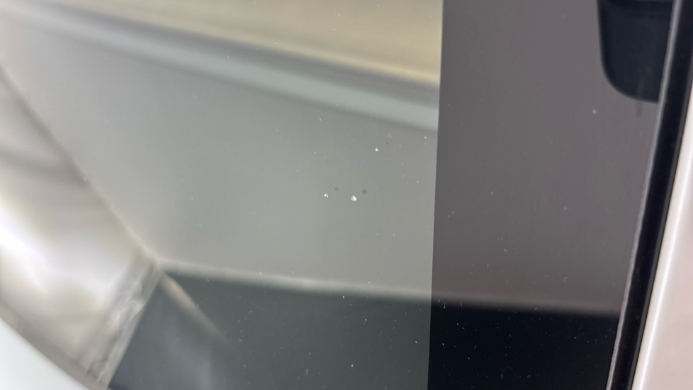TESLA MODEL Y Multiple chips