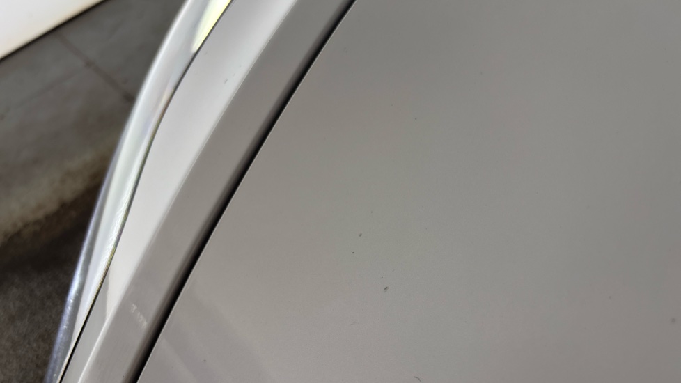 TESLA MODEL Y Multiple chips