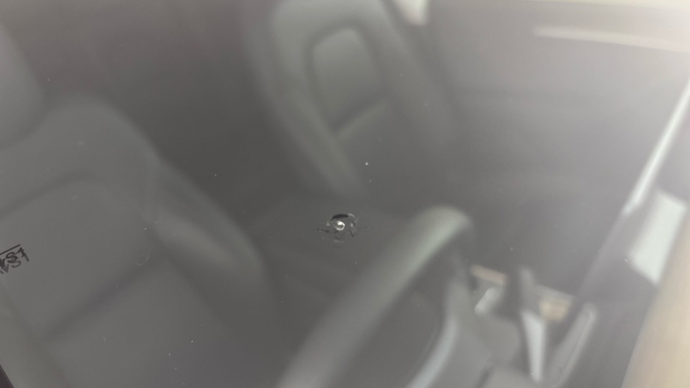TESLA MODEL Y Chips