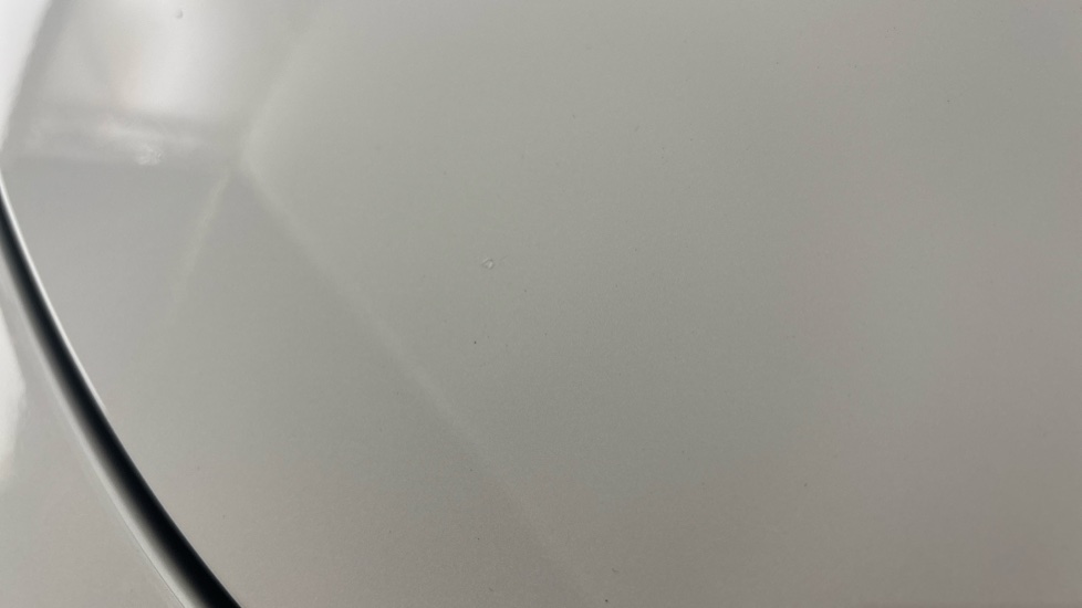 TESLA MODEL Y Multiple chips