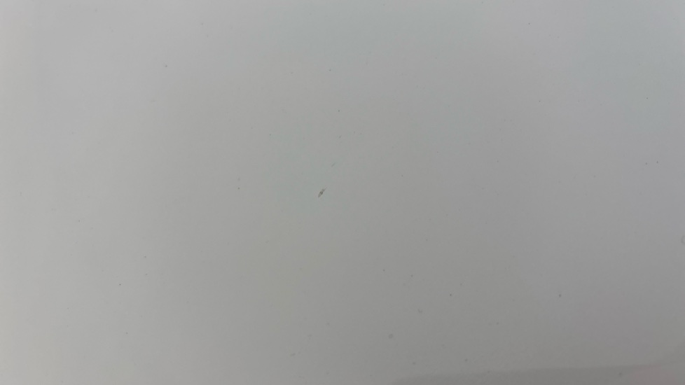 TESLA MODEL Y Multiple chips