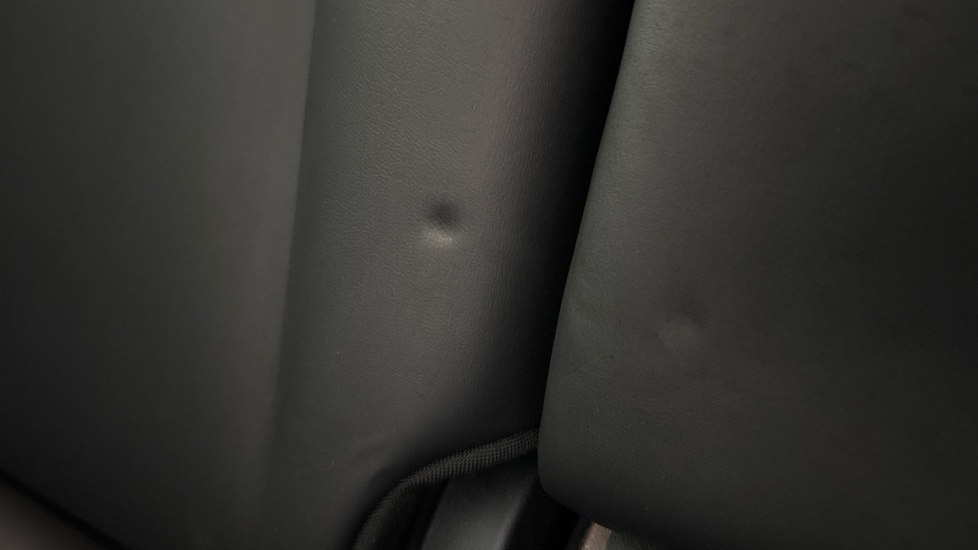 TESLA MODEL Y Dents