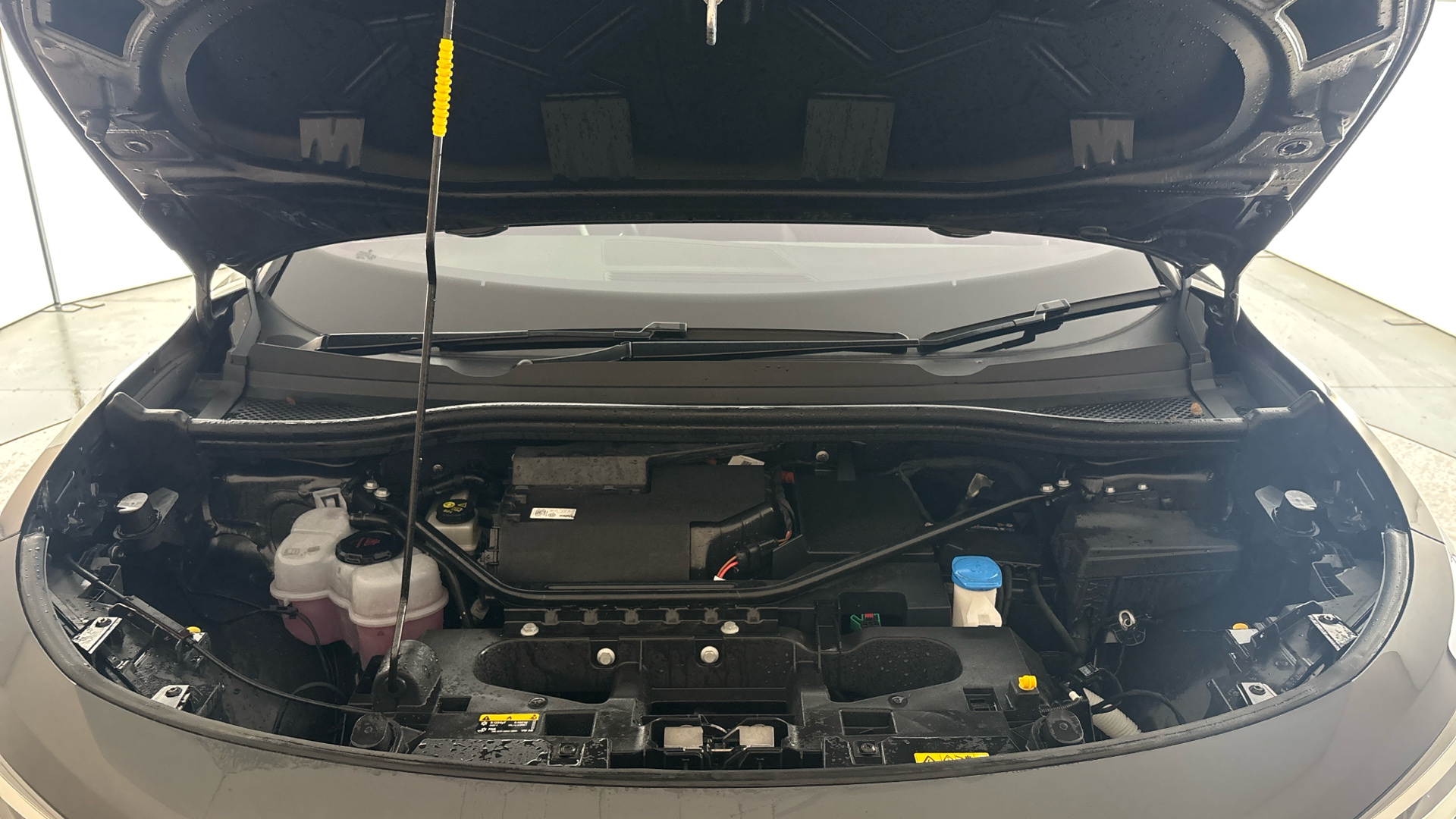 4020997 109kW Life Pure 52kWh 5dr Auto