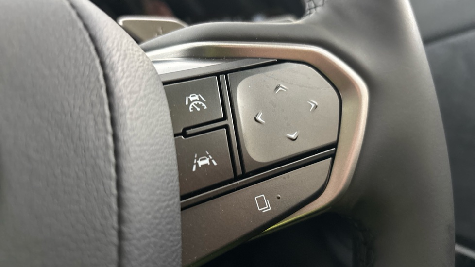 LEXUS RZ cruise control