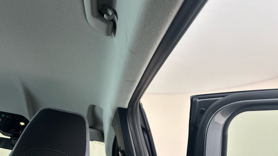 RENAULT MEGANE E-TECH Stains