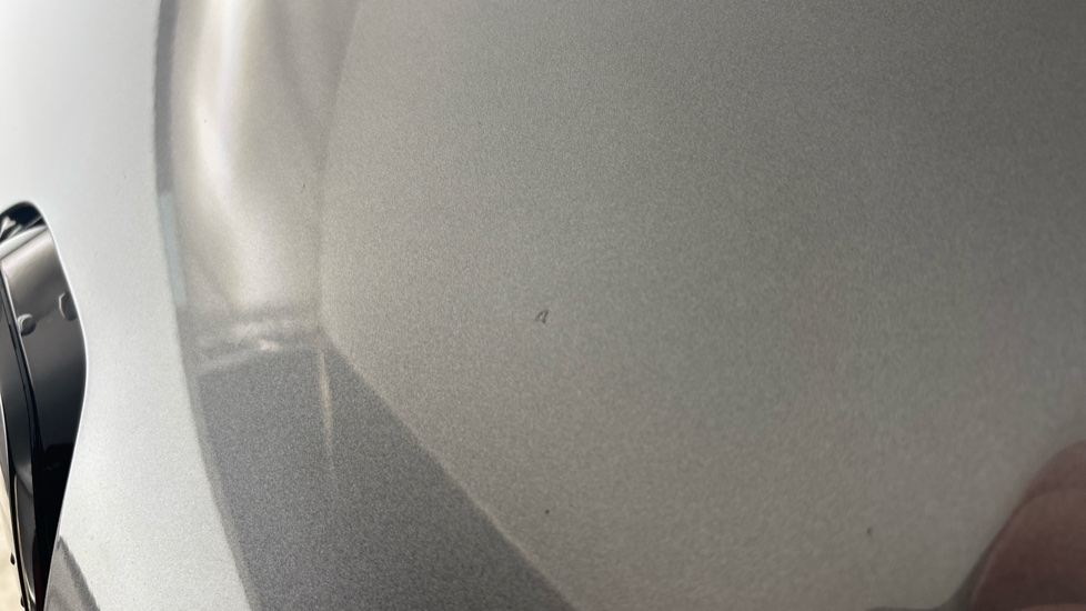 RENAULT MEGANE E-TECH chips