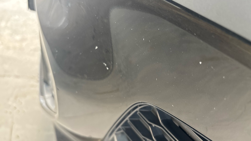 BMW X1 chips