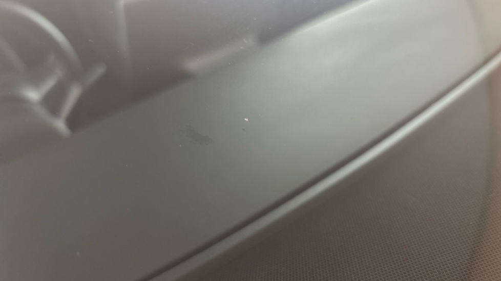 TESLA MODEL Y Multiple chips