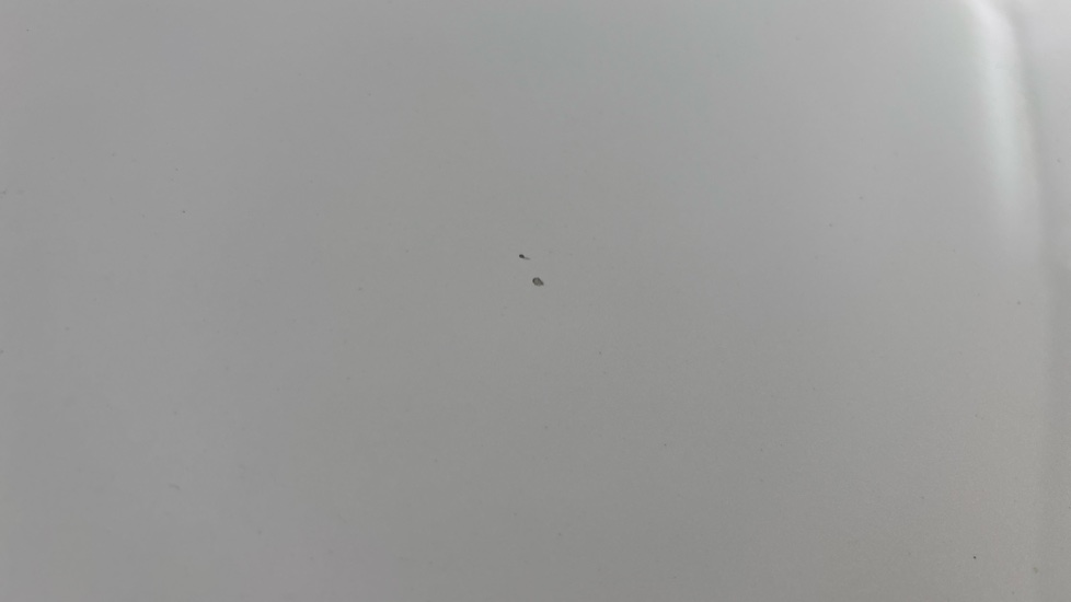 TESLA MODEL Y Multiple chips