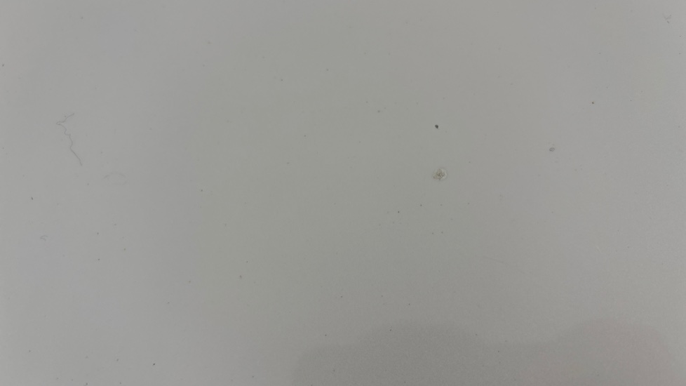 TESLA MODEL Y chips