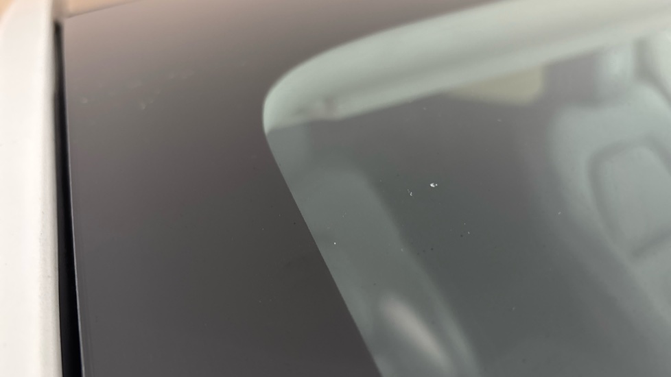 TESLA MODEL Y chips