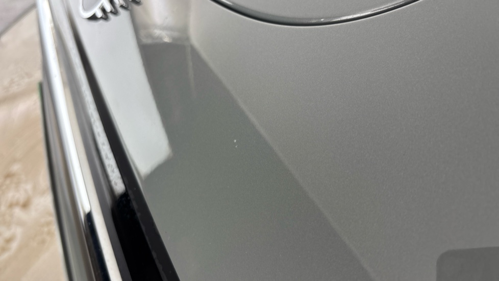 MINI HATCHBACK Chips