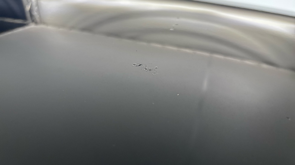 MINI HATCHBACK Paint imperfection and birdlime