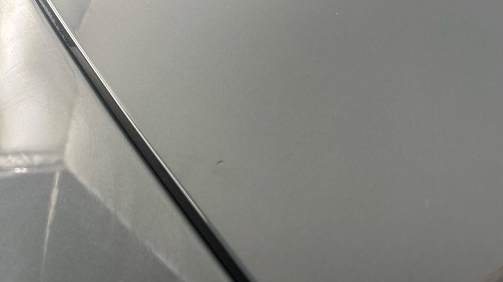POLESTAR 2 chips