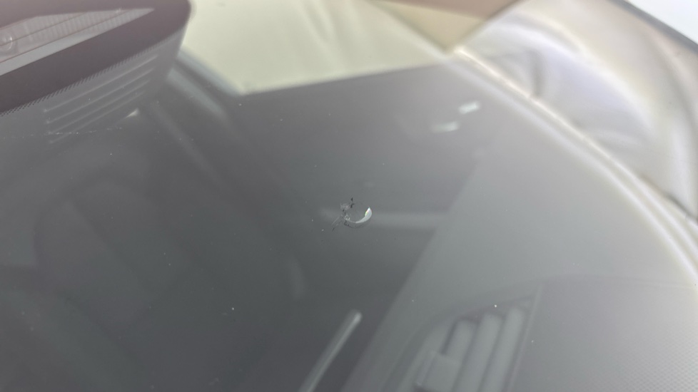 POLESTAR 2 Multiple chips