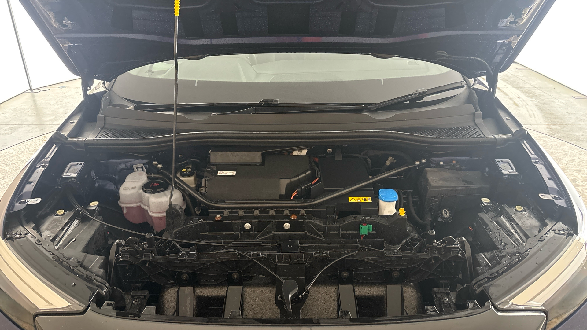 4020884 125kW 35 55kWh Sport 5dr Auto