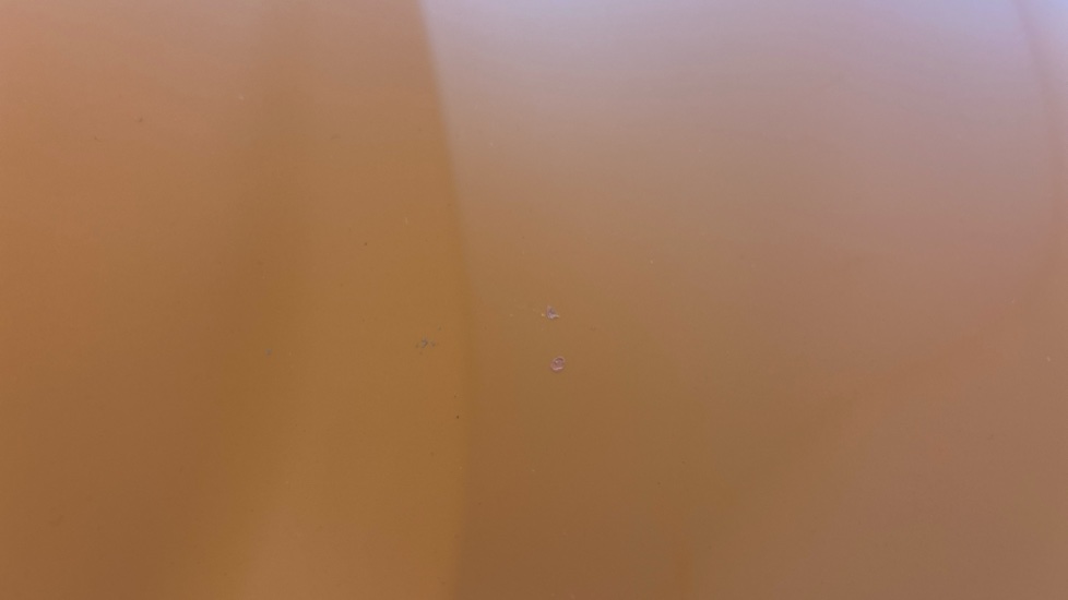 MG MG4 Multiple chips