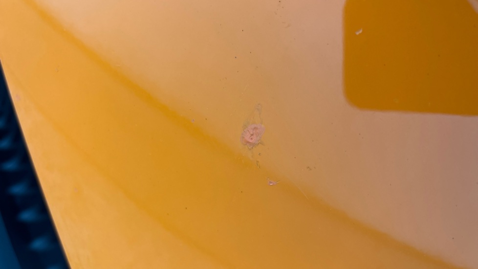 MG MG4 Multiple chips