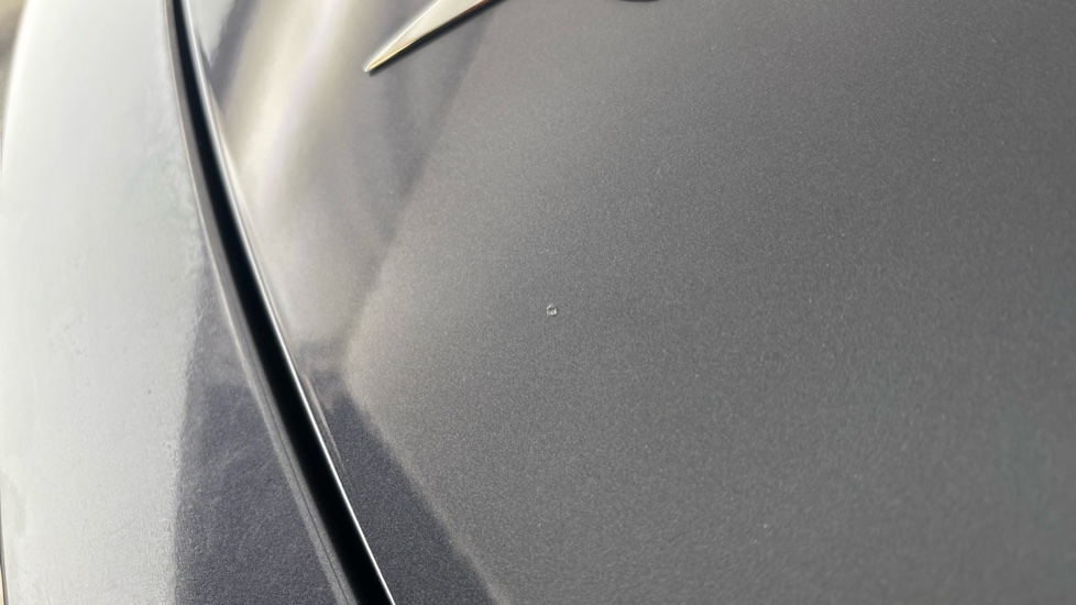 TESLA MODEL Y Multiple chips