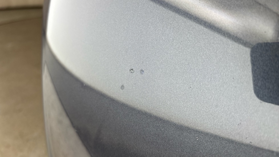 TESLA MODEL Y Multiple chips
