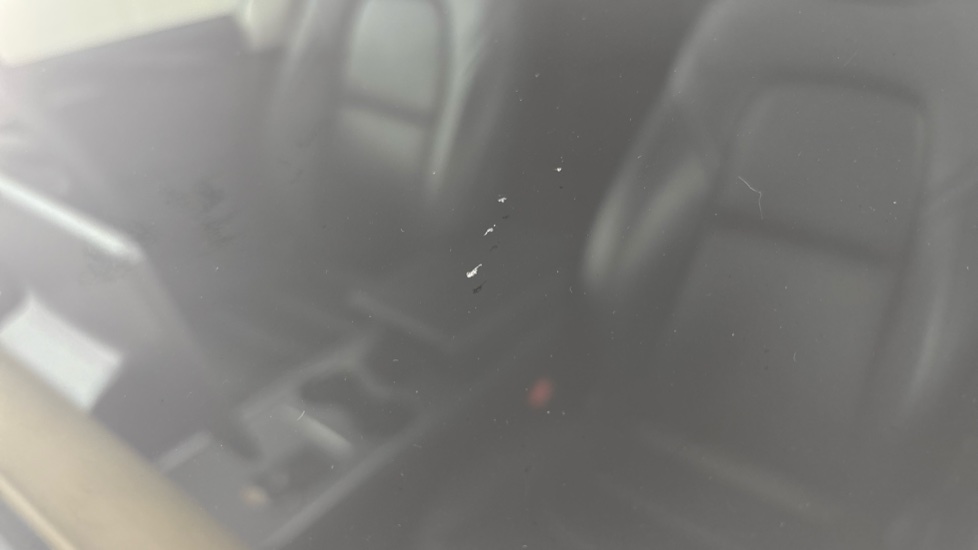TESLA MODEL Y Multiple chips