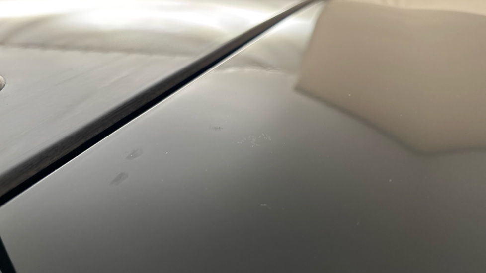 MINI HATCHBACK Birdlime