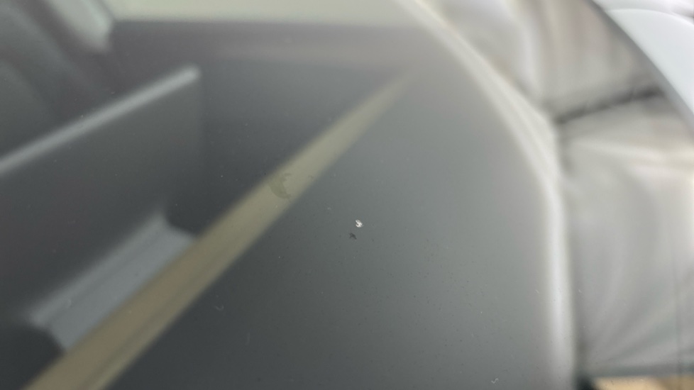 TESLA MODEL Y Multiple chips