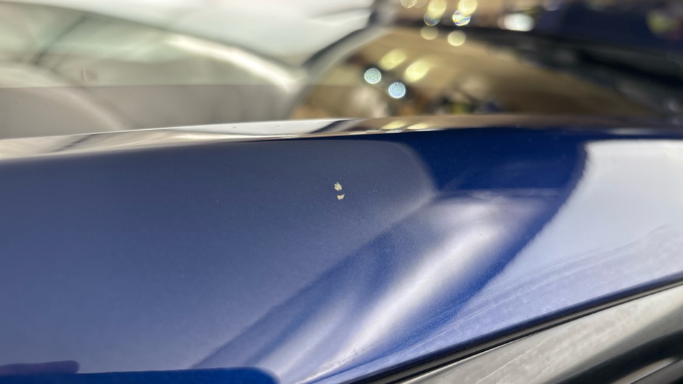TESLA MODEL Y Chips