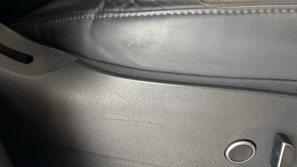 TESLA MODEL Y Worn