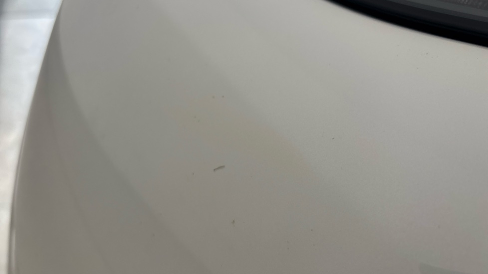 TESLA MODEL Y Multiple chips