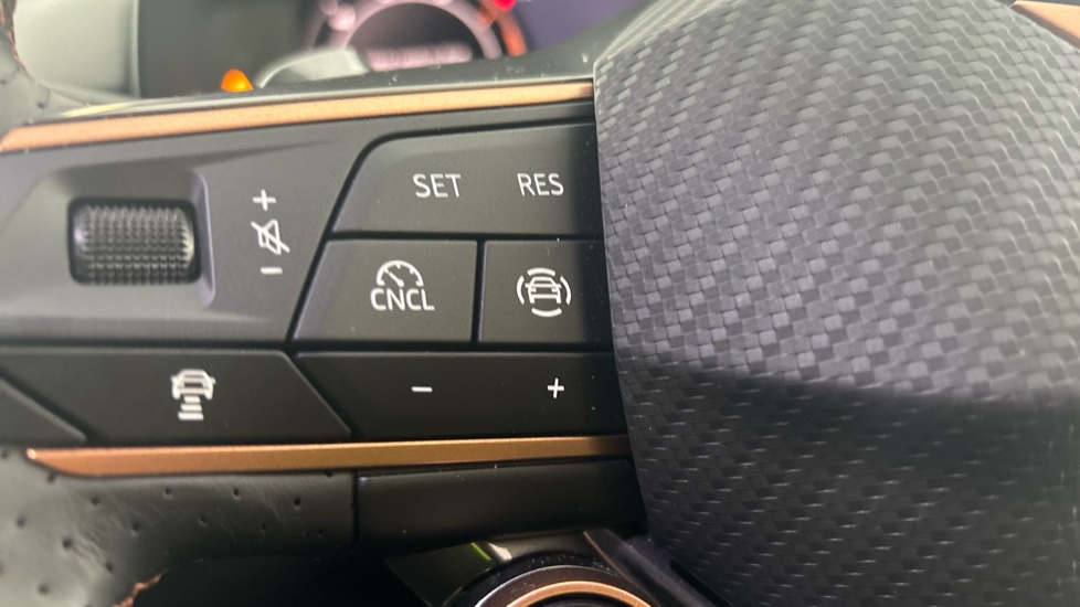 CUPRA TERRAMAR cruise control